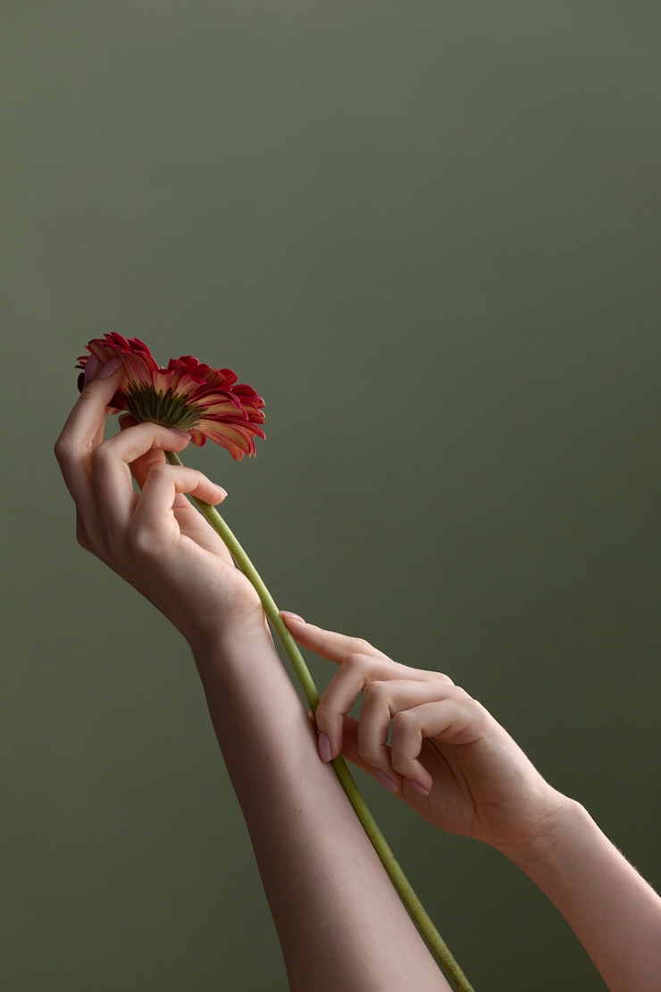 Foto grátis foto de uma flor delicada