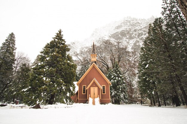 Foto de uma pequena cabana de madeira cercada por abetos vermelhos cheios de neve perto de montanhas