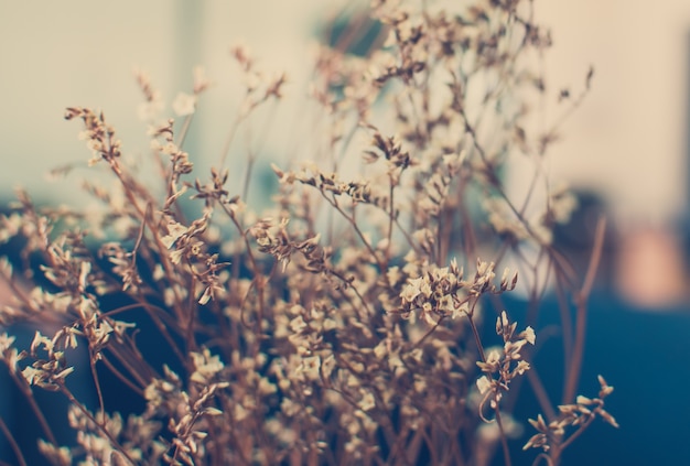 Foto do vintage de flores selvagens no por do sol