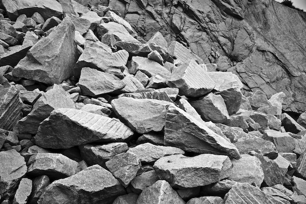 Foto grátis foto em escala de cinza de deslizamento de rocha