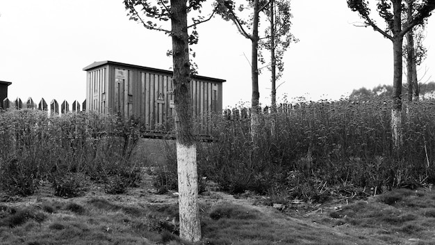 Foto em preto e branco de uma construção de madeira e árvores