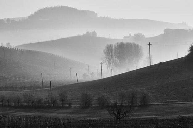 Foto em tons de cinza de belas colinas com neblina