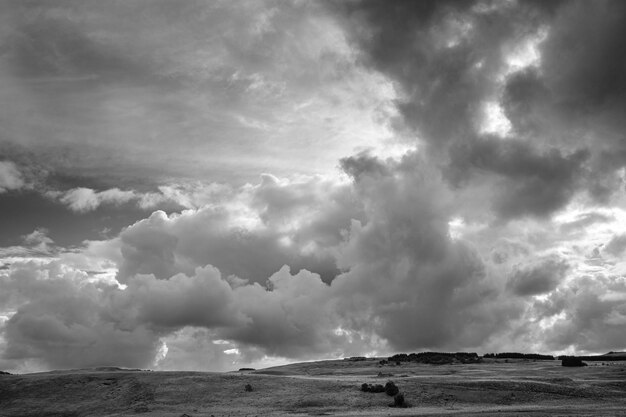 Foto em tons de cinza de uma paisagem com arbustos sob nuvens escuras de tempestade