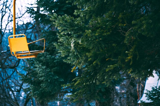 Foto estilística da velha cadeira de teleférico vintage grunged amarelo vazio isolada à esquerda, galhos de árvore de pinho bahinf na floresta de inverno, foco no assento