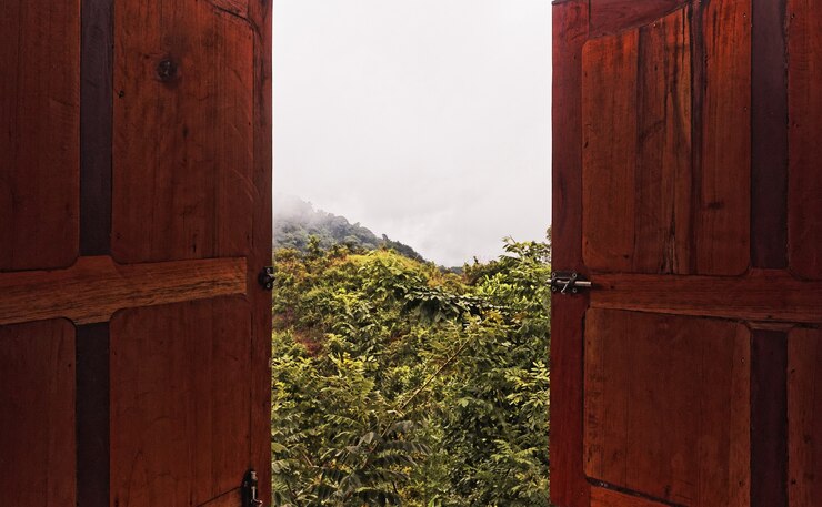 Foto grátis foto grande angular de árvores e natureza vista de um edifício