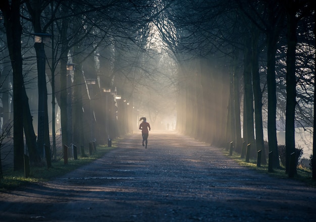Foto horizontal de um caminho em um parque arborizado com uma mulher com um agasalho de treino vermelho correndo no caminho