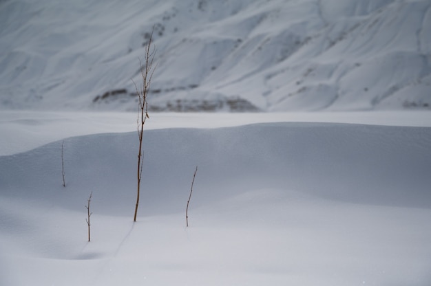 Foto horizontal do vale spiti, kaza no inverno