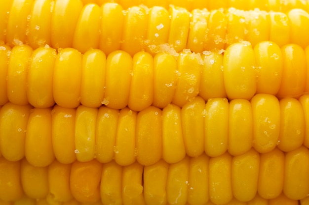 Foto macro de espiga de milho. padrão de natureza de sementes amarelas.
