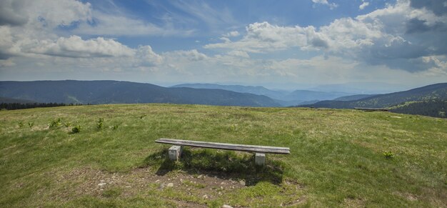 Foto panorâmica de um banco de madeira vazio no campo perto do lago Ribnica, na Eslovênia