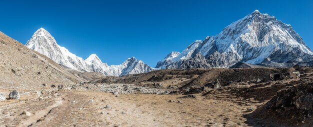 Foto panorâmica de um belo vale cercado por montanhas cobertas de neve.