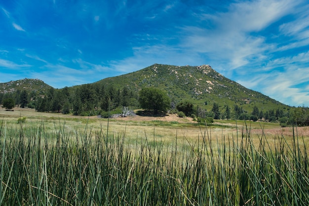 Foto panorâmica de um campo verde com uma montanha ao fundo