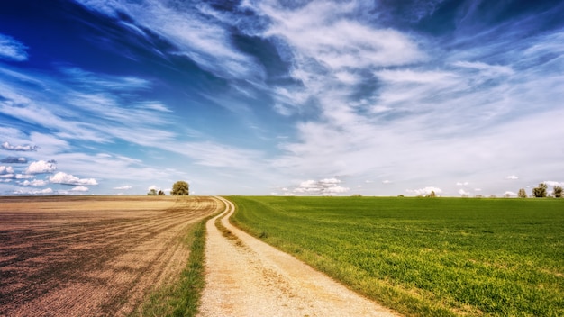 Foto panorâmica de uma estrada marrom ao lado de campos de grama verde
