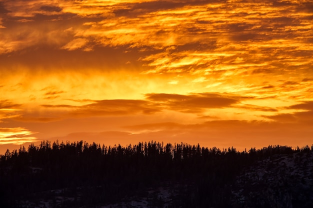 Foto panorâmica do céu laranja acima da floresta durante o pôr do sol