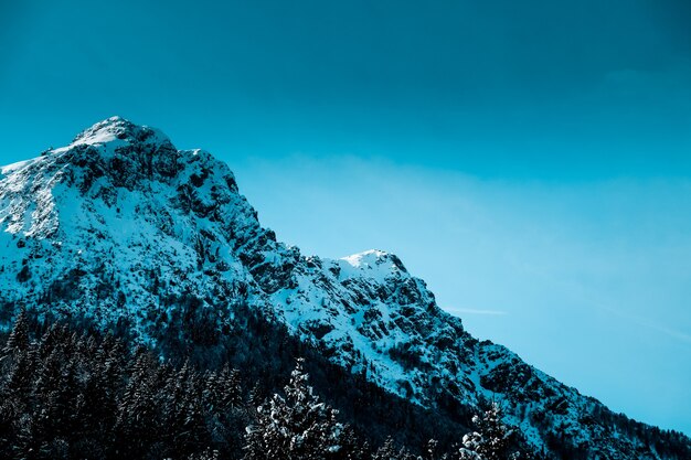Foto panorâmica do pico irregular coberto de neve com árvores alpinas na base da montanha