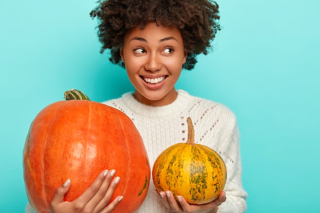 Foto recortada de uma mulher afro-americana sorridente segura grandes e pequenas abóboras colhidas no jardim de outono, usa um suéter de tricô branco e parece positivamente de lado.