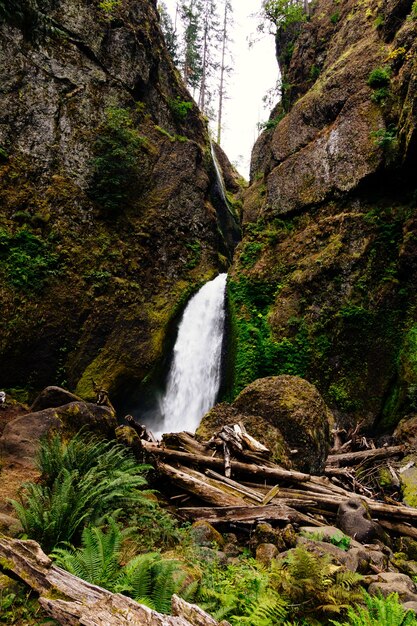 Foto vertical da cachoeira Wahclella Falls, nos EUA