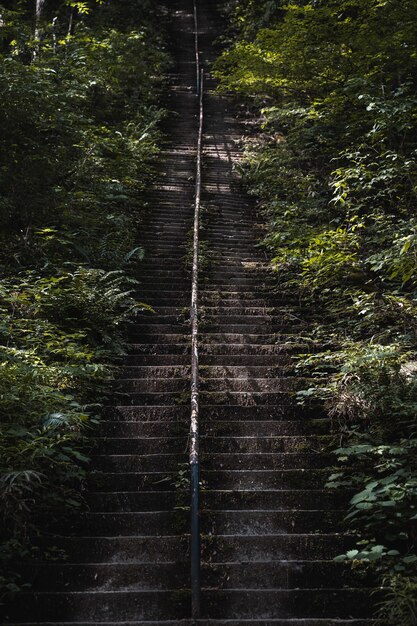 Foto vertical da escada velha coberta de musgo em um parque