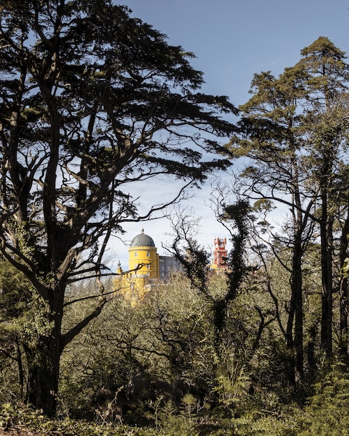 Foto vertical da floresta com edifícios do outro lado