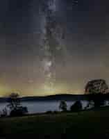 Foto grátis foto vertical da via láctea no céu sobre uma floresta