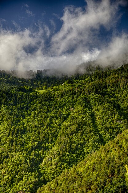 Foto vertical das belas montanhas cobertas de grama sob o céu nublado