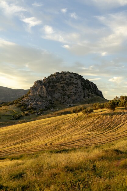 Foto vertical das colinas ensolaradas no campo