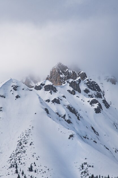 Foto vertical das montanhas rochosas cobertas de neve