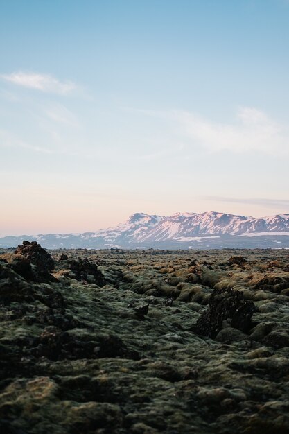 Foto vertical das texturas do terreno na Islândia com uma montanha coberta de neve ao fundo