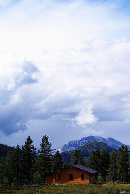 Foto vertical de alto ângulo de uma pequena casa nas colinas sob um céu nublado em Tuddal Gaustatoppen