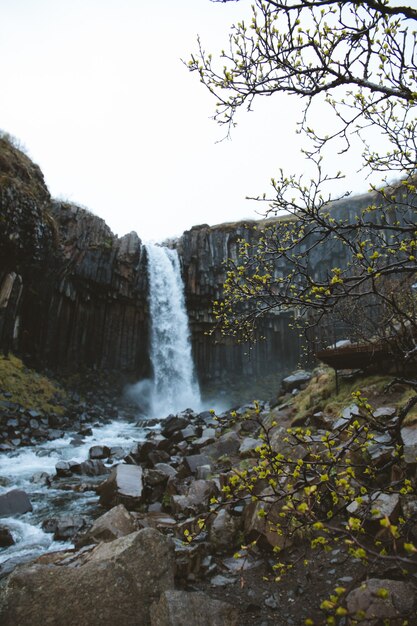 Foto vertical de baixo ângulo de uma bela cachoeira nos penhascos rochosos capturada na Islândia