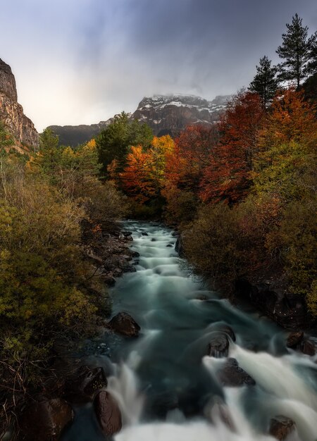 Foto vertical de belas cores de outono de árvores ao longo de um rio