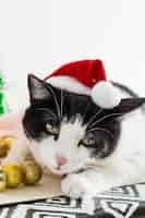 Foto grátis foto vertical de gato branco e preto com chapéu de papai noel de natal com enfeites em uma mesa