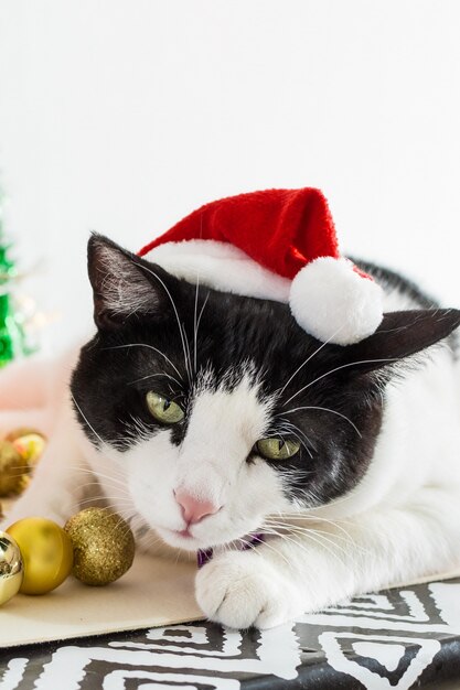Foto vertical de gato branco e preto com chapéu de Papai Noel de Natal com enfeites em uma mesa