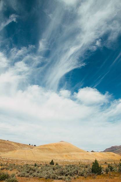 Foto vertical de grama e musgo crescendo em um campo sob um céu nublado