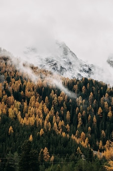 Foto vertical de nuvens pesadas voando baixo cobrindo uma encosta de montanha densamente arborizada no outono