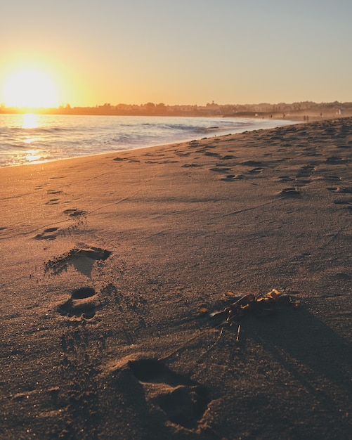 Foto vertical de pegadas no mar brancas com o sol brilhando