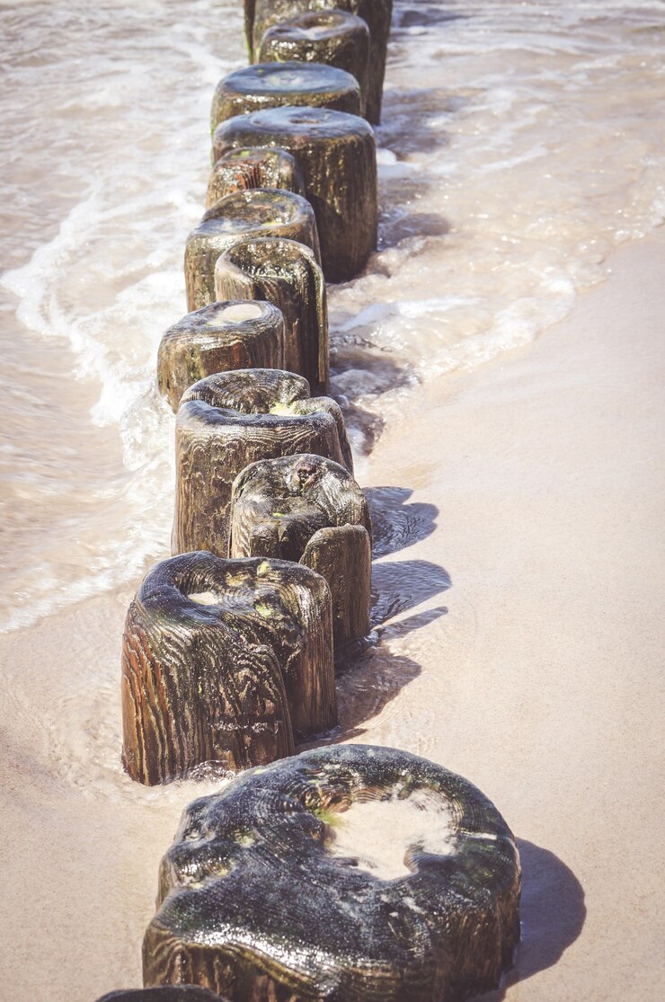Foto grátis foto vertical de pequenas pranchas de madeira em uma costa arenosa