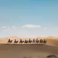 Foto grátis foto vertical de pessoas montando camelos em uma duna de areia no deserto