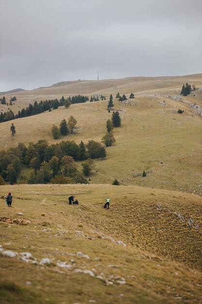 Foto vertical de pessoas na montanha de Vlasic, na Bósnia, em um dia sombrio