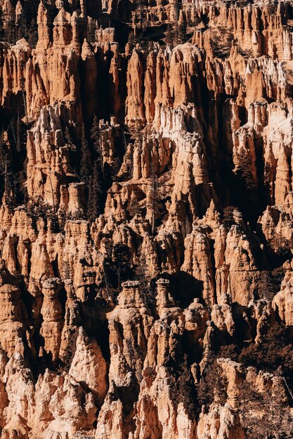 Foto vertical de rochas em um desfiladeiro sob a luz do sol