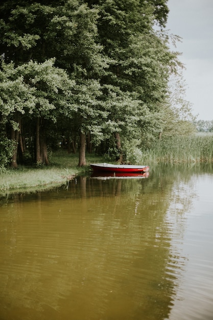 Foto vertical de um barco em um lago cercado por árvores