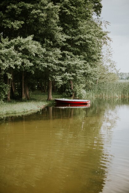 Foto vertical de um barco em um lago cercado por árvores