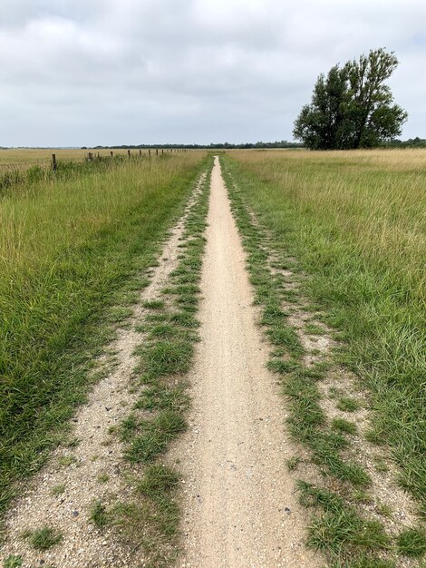 Foto vertical de um caminho em um prado sob um céu nublado