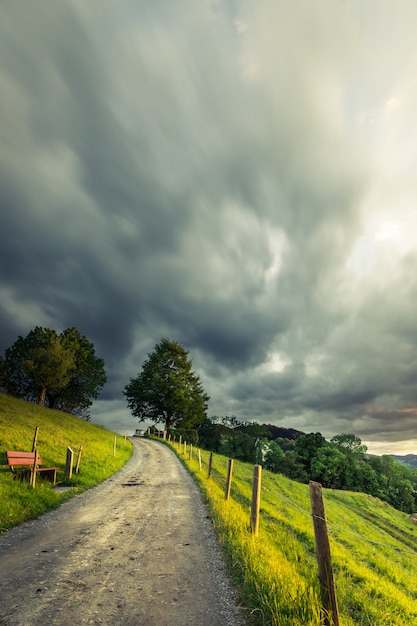 Foto vertical de um caminho no meio de um campo gramado com árvores sob um céu nublado