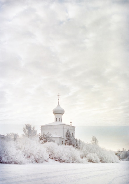 Foto grátis foto vertical de um castelo cercado de neve durante o inverno