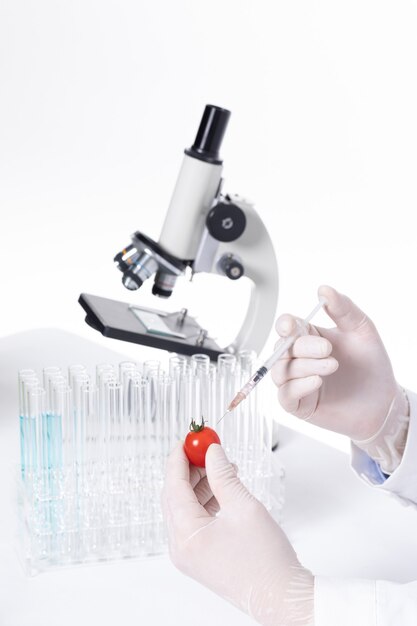 Foto vertical de um cientista injetando substâncias tóxicas em um tomate cereja em um laboratório