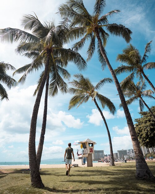 Foto vertical de um homem caminhando em uma praia coberta de palmeiras enquanto aproveita o dia ensolarado