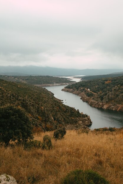 Foto vertical de um lago calmo cercado por árvores sob um céu nublado