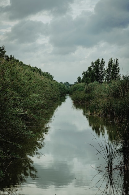 Foto vertical de um lago cercado de grama