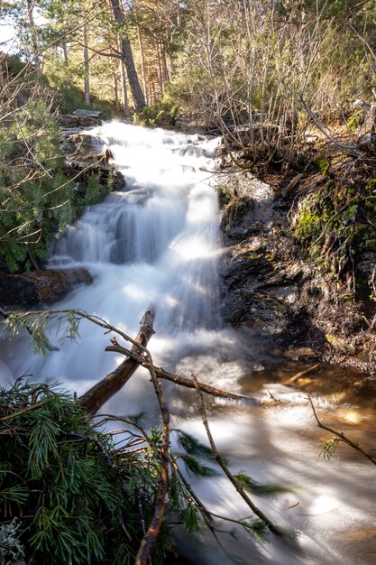 Foto vertical de um rio de fluxo rápido cercado por pedras e árvores em uma floresta