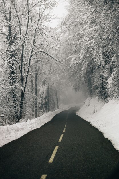 Foto vertical de uma bela estrada vazia cercada por um bosque nevado